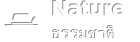 nature-ธรรมชาติ