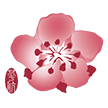 China Airlines (CI)
